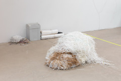 Eva-Maria Gugg
