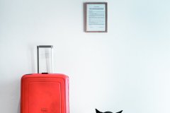 Simon-Schwaerzer_Gift_9